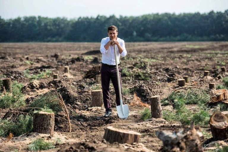 Több mint 35 millió fát ültettek idén Ukrajnában
