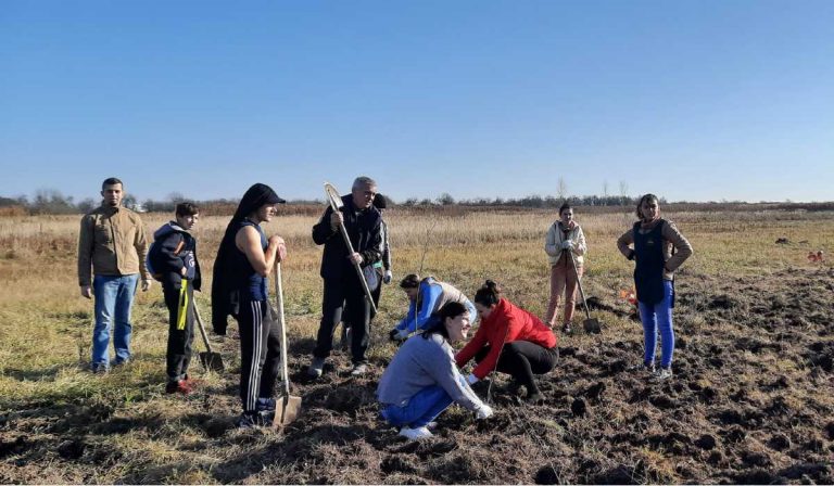 Kétezer fát ültettek el Nagydobronyban