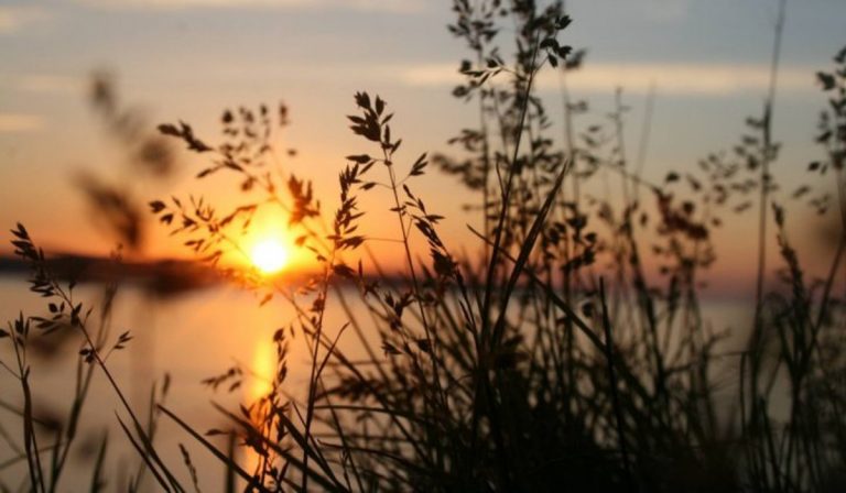 Petőfi Sándor: A nap