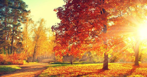 A harmadik legmelegebb október volt az idei