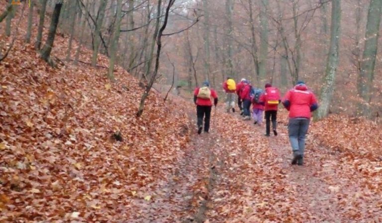 Az egész éjszakát az erdőben töltötte egy 80 éves kijevi férfi Kárpátalján