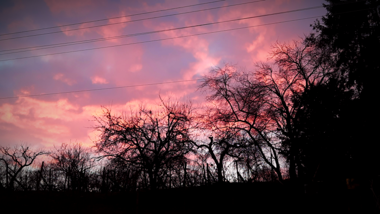 Pilinszky János: A többi kegyelem
