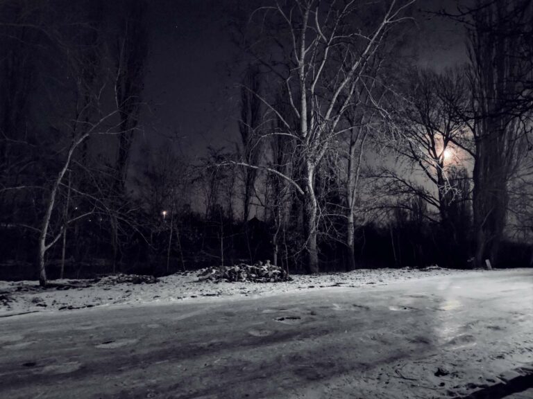 Kátyúk holdfényben