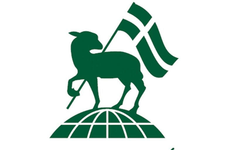 Megérkezett Ungvárra az Magyar Református Szeretetszolgálat gyógyszeradománya