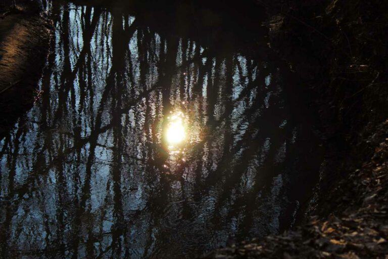 Ahogyan a víz tükrözi…