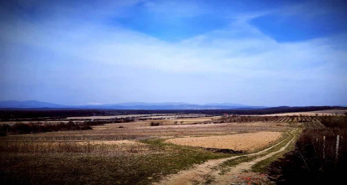 Beregújfalu tavasszal