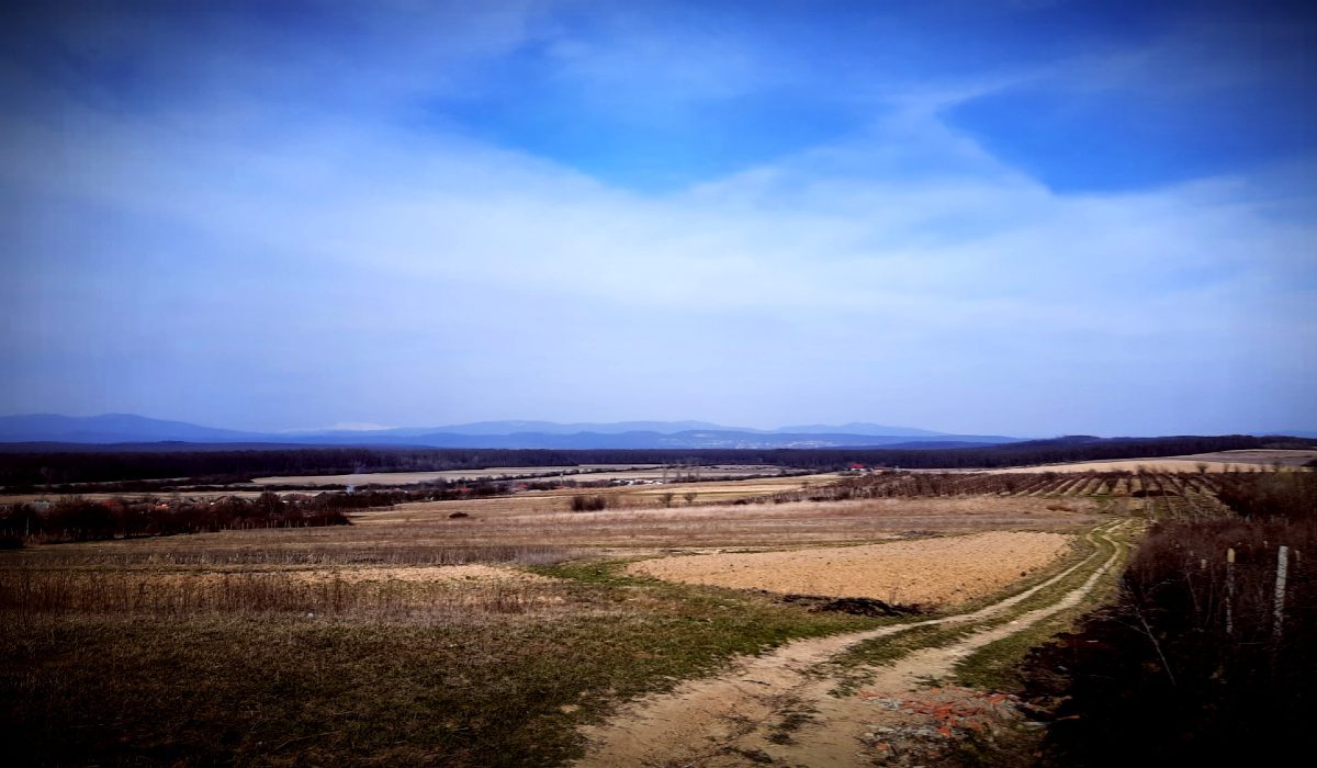 Beregújfalu tavasszal