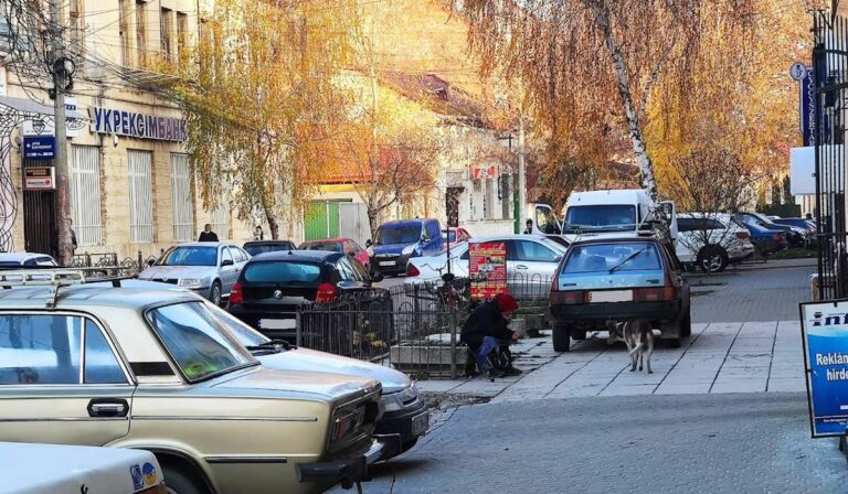 Járműelkobzásra figyelmeztet Beregszász polgármestere
