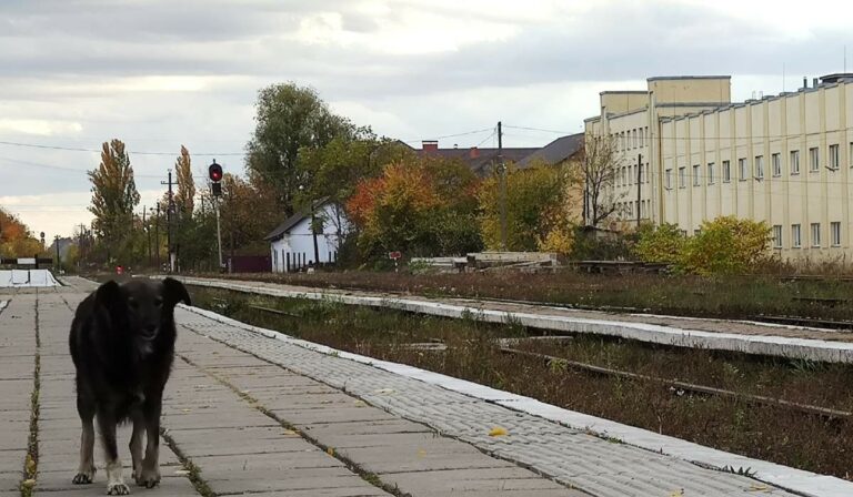 Véget ért a légiriadó Kárpátalján