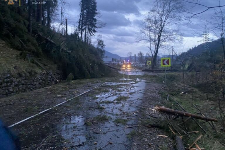 Fákat döntött ki vasárnap a vihar
