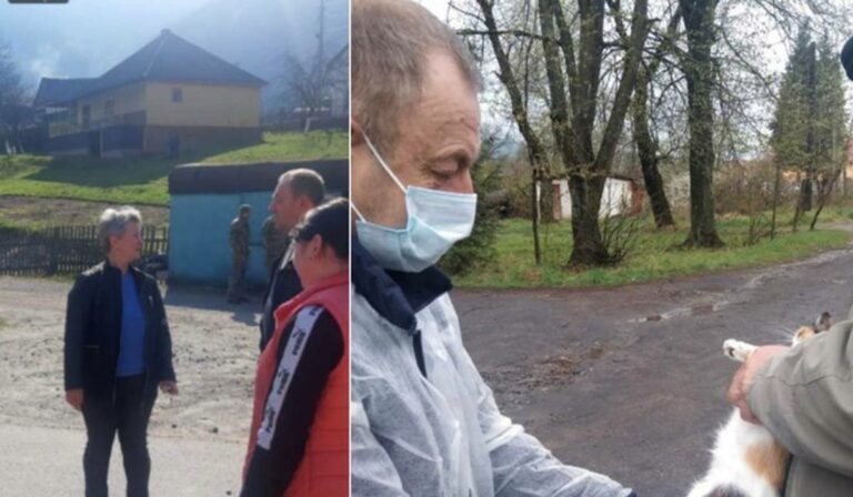 Veszett róka harapott meg több háziállatot a Munkácsi járásban