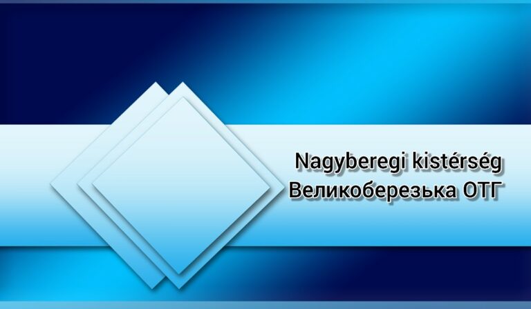 A Nagyberegi kistérség helyzetjelentése
