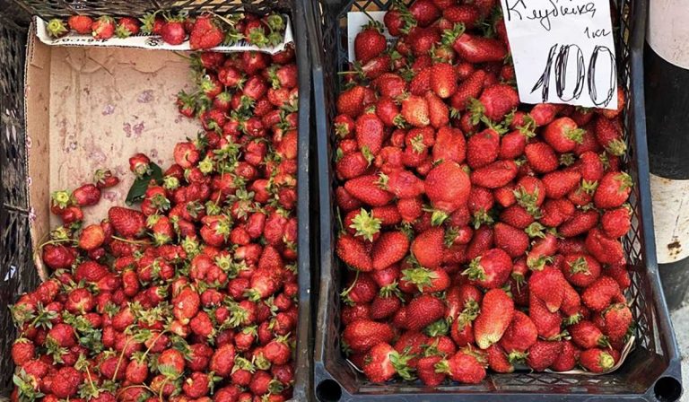 Mennyi egy kilogramm eper Kárpátalján?
