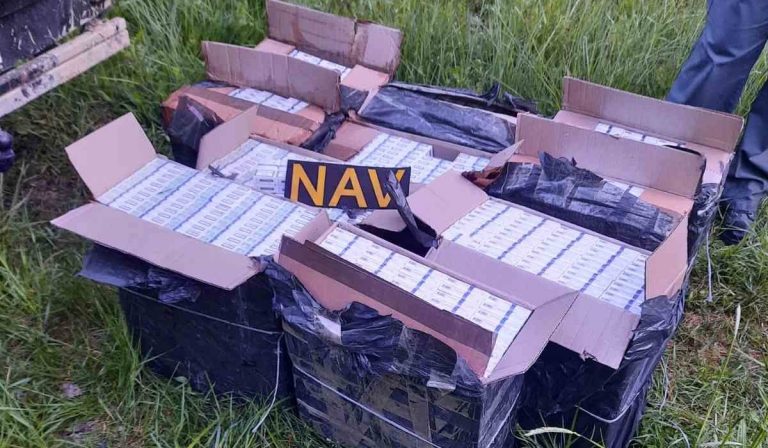 Ötezer doboz cigarettára bukkantak az ukrán-magyar határ közelében