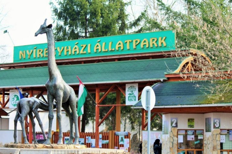 Kategóriájában harmadszorra minősült Európa legjobb állatkertjének a Nyíregyházi Állatpark