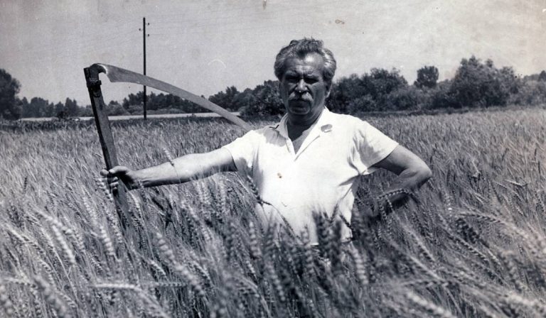 Móricz Zsigmond