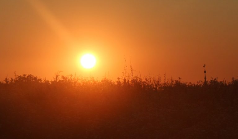 napsütés meleg tikkasztó