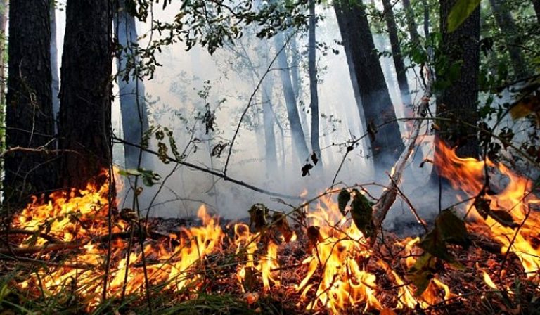 Rendkívüli tűzveszélyre figyelmeztetnek Kárpátalján