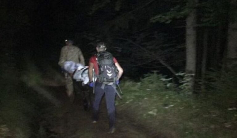 Belehalt a darázscsípésbe egy férfi a Kárpátokban