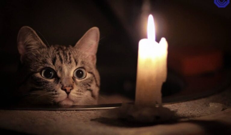 Áramszünet várható a Kaszonyi kistérségben