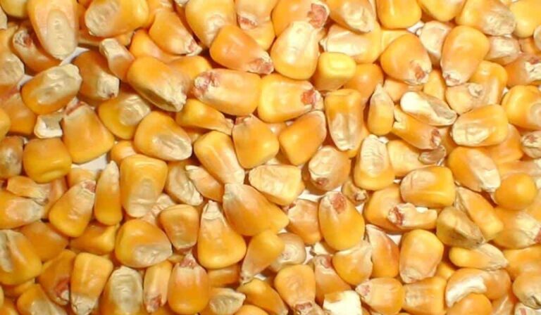 Csökkent az ukrán export