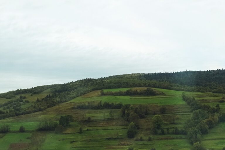 Hegyvidéki hangulat