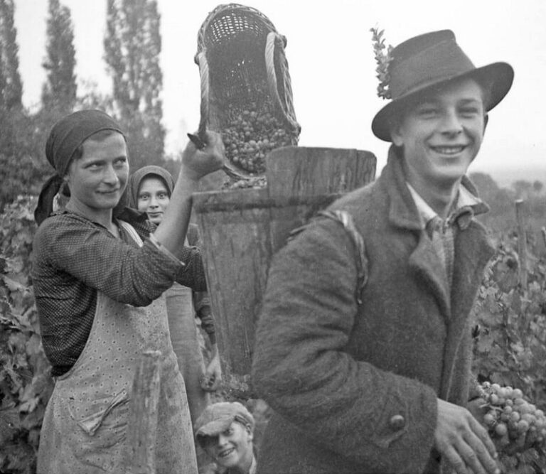 Kárpátalja anno: régi idők szüretei