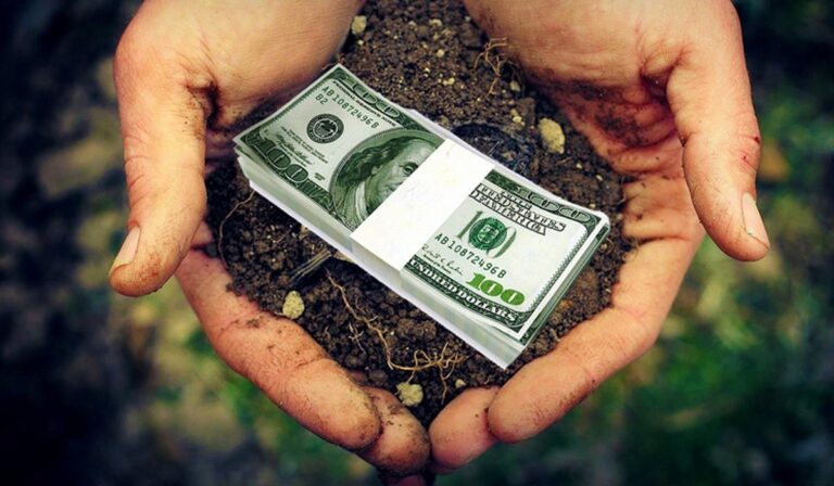 Середня ціна 1 га землі в Україні становить понад 38 тис. грн