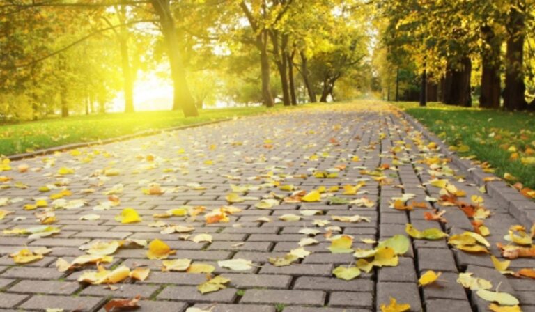 Napsütéses, meleg idővel indul a következő hét