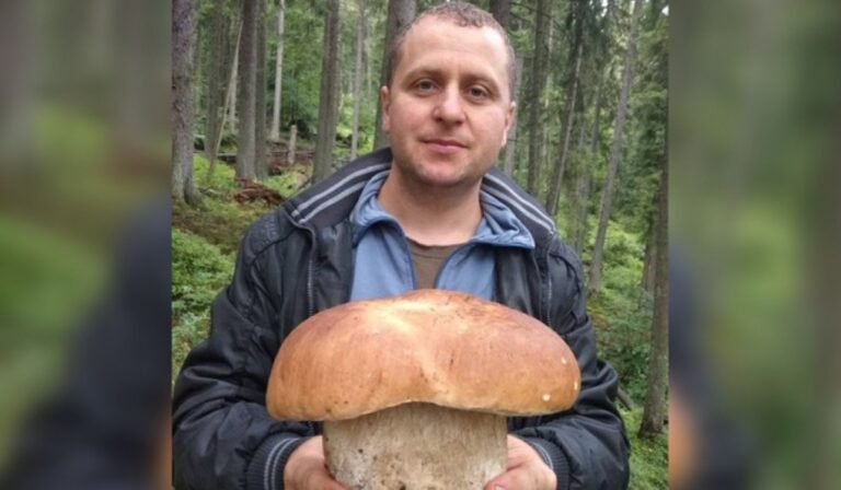 Kárpátalja ma: óriás gombát találtak a Rahói járásban