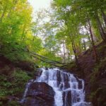 Sipot