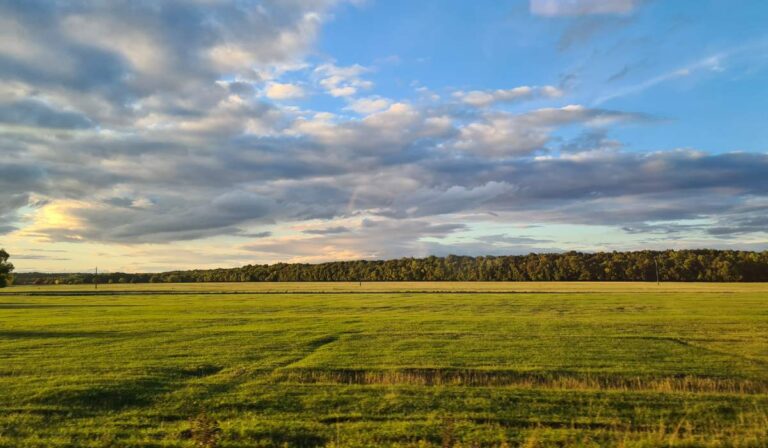 Windows XP
