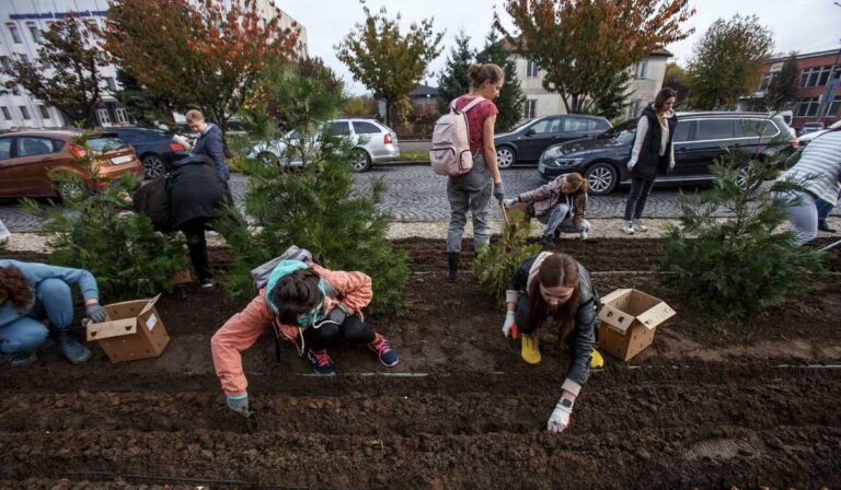 Tulipánokat ültettek Munkácson egy elesett katona emlékére