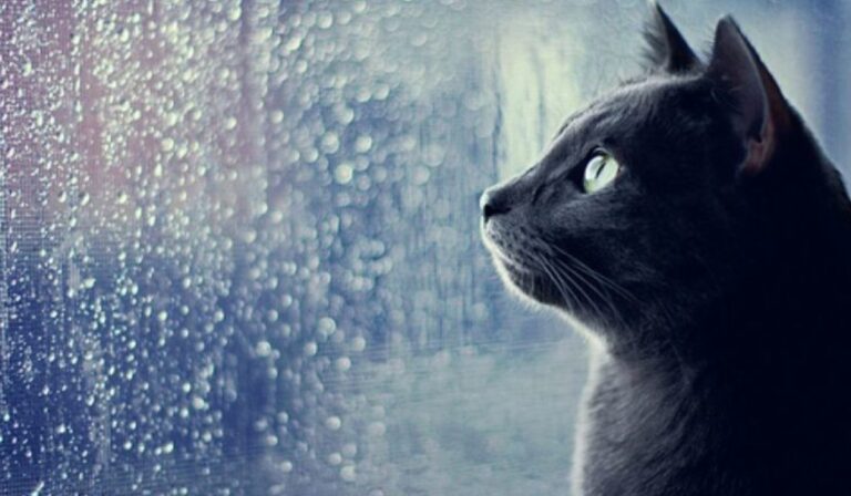 Esős idővel zárul a hét