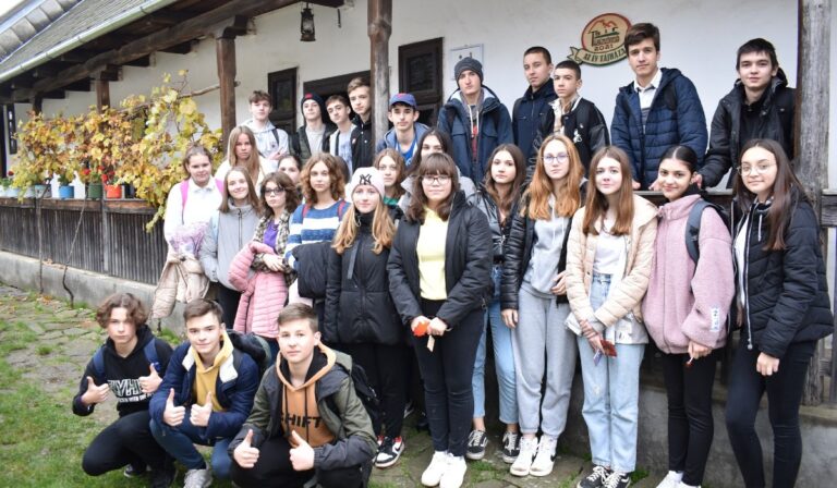 Beregi motívumok vászonra és fára