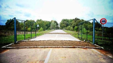 Nagypalád és nagyhódos