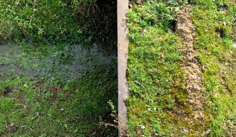 Tárcajegyzet: a természet érez valamit