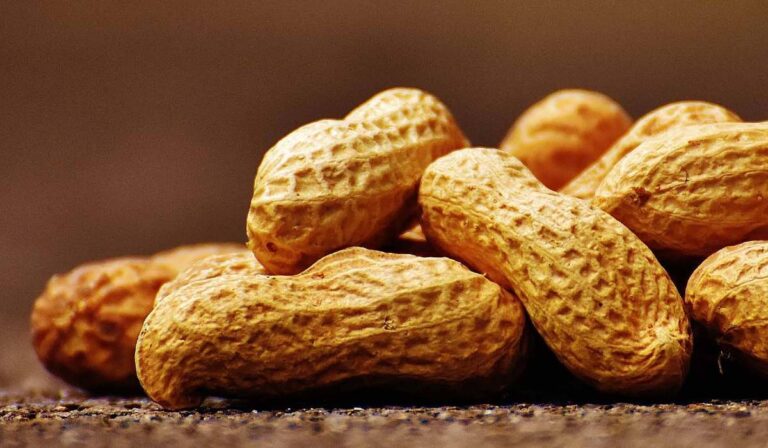 Hogyan előzzük meg a veszélyes földimogyoró-allergiát?