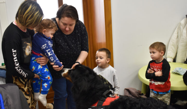 Kutyák és terápia: beszélgetés dr. Körözsi Barbara habilitációs kutyakiképzővel