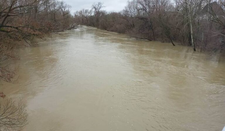 Árad a Borzsa Kárpátalján