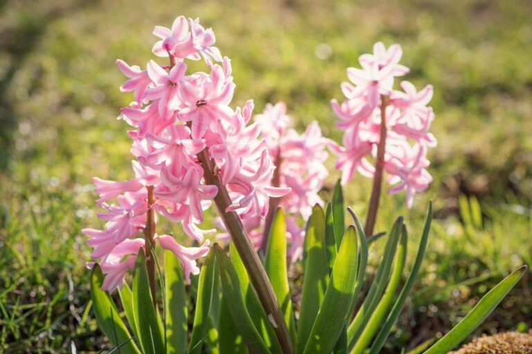 Milyen időjárás várható márciusban?