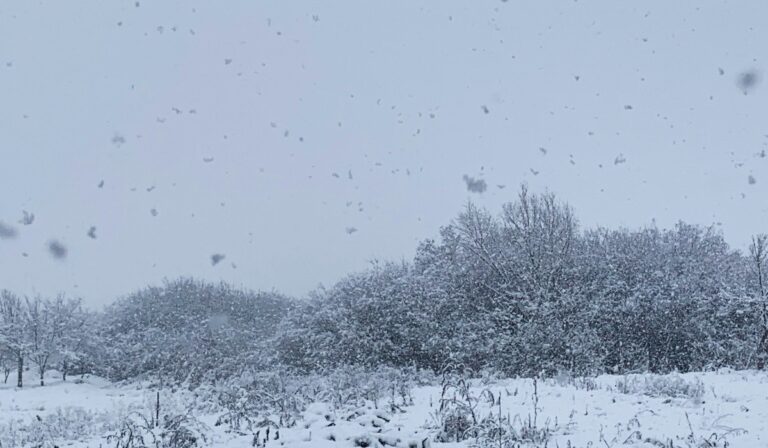 tél reggel hó fagy hóesés