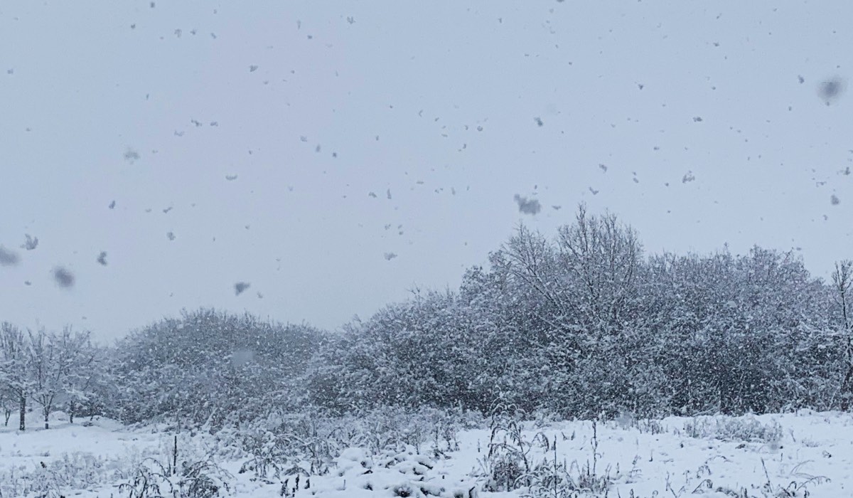 tél reggel hó fagy hóesés