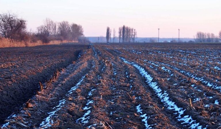 Közel 240 ezer ukrán gazda és falusi család kap támogatást a FAO új programjában