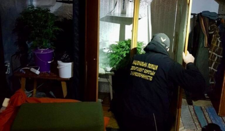 Droglabort lepleztek le az Ungvári járásban