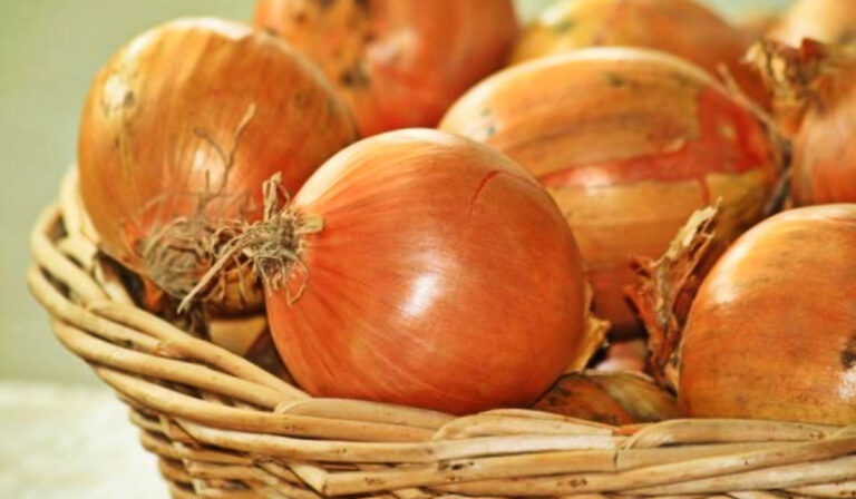 Rekordáron a hagyma Ukrajnában