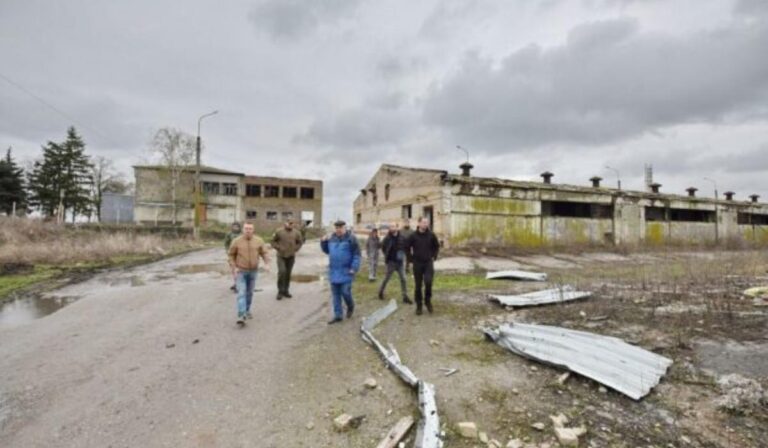 60 000 állat pusztult el Harkiv megyében