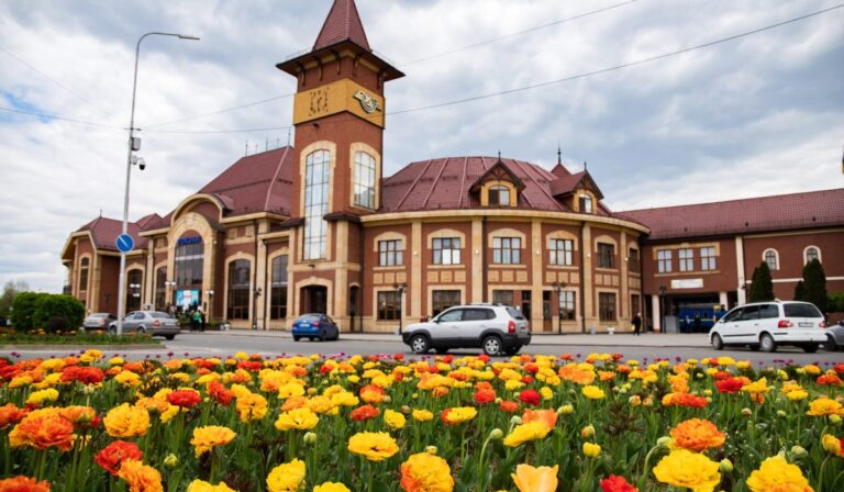 Több mint 40 ezer tulipán virágzik Ungváron