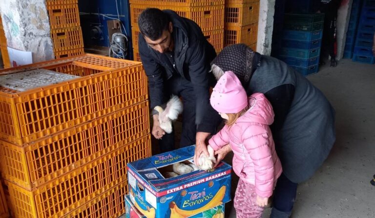 Csirkét osztottak a kárpátaljai nagycsaládosoknak