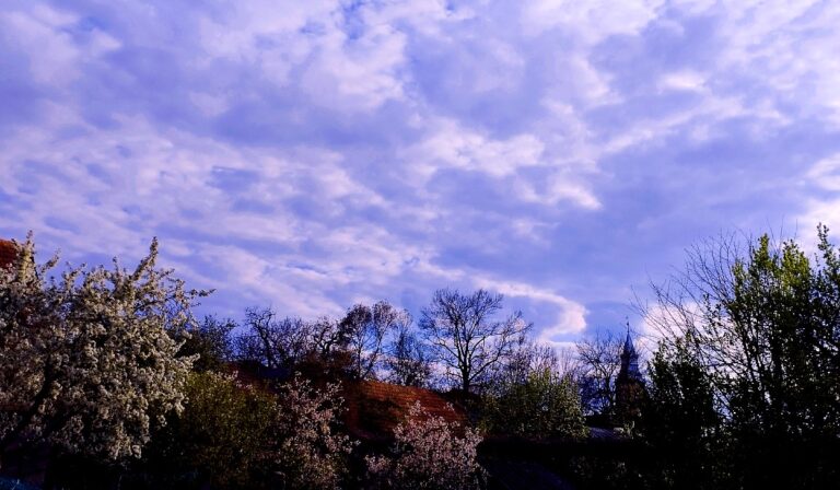 „Itt vagyok honn…”